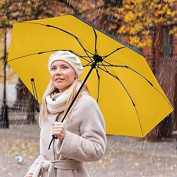 Amazon.com: Joisal Amber Uv Sun Protective Parasol Compact